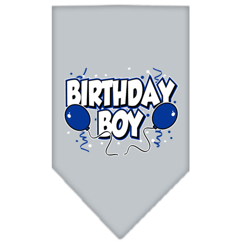 Birthday Boy Screen Print Bandana Grey Large